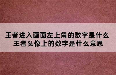 王者进入画面左上角的数字是什么 王者头像上的数字是什么意思